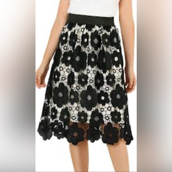 Dresses & Skirts - BNWT Crochet / lace midi skirt